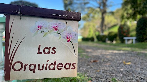 Las Orquídeas
