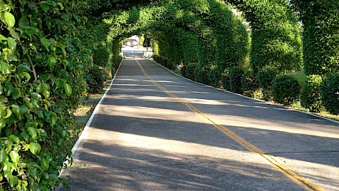 Galería