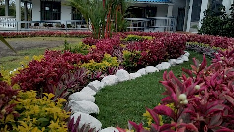 Galería